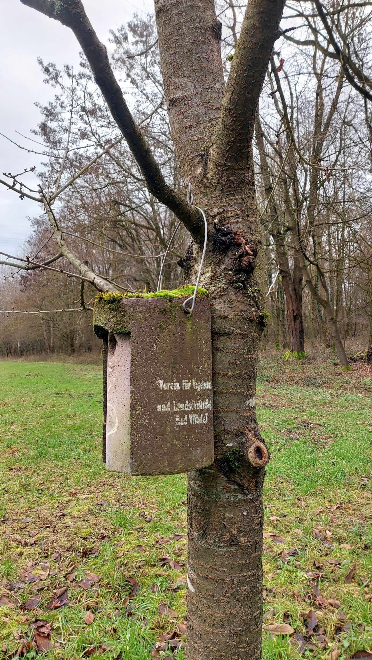 Jahreshauptversammlung 2026