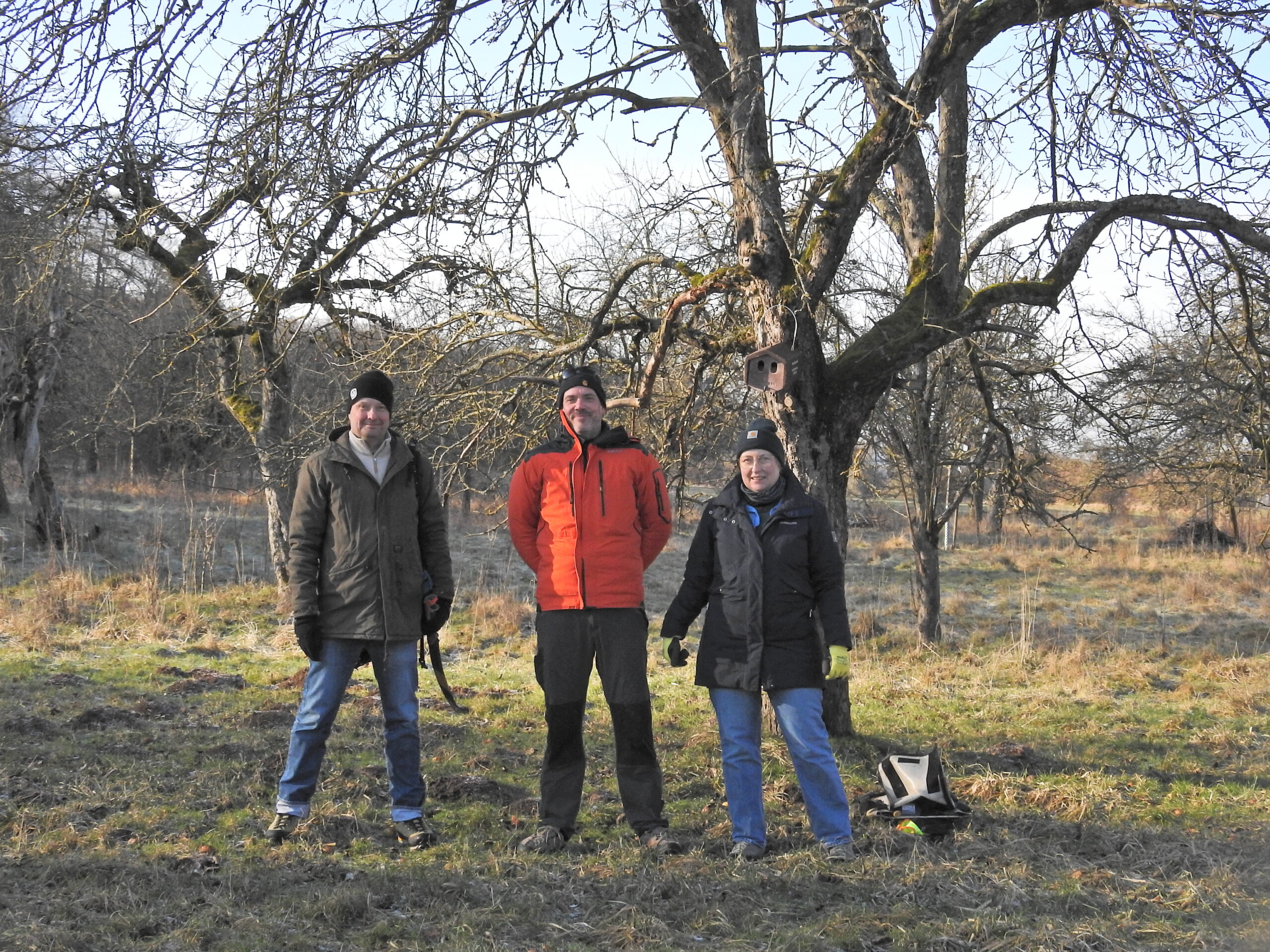 Nistkästen aufhängen mit Teufelszeug