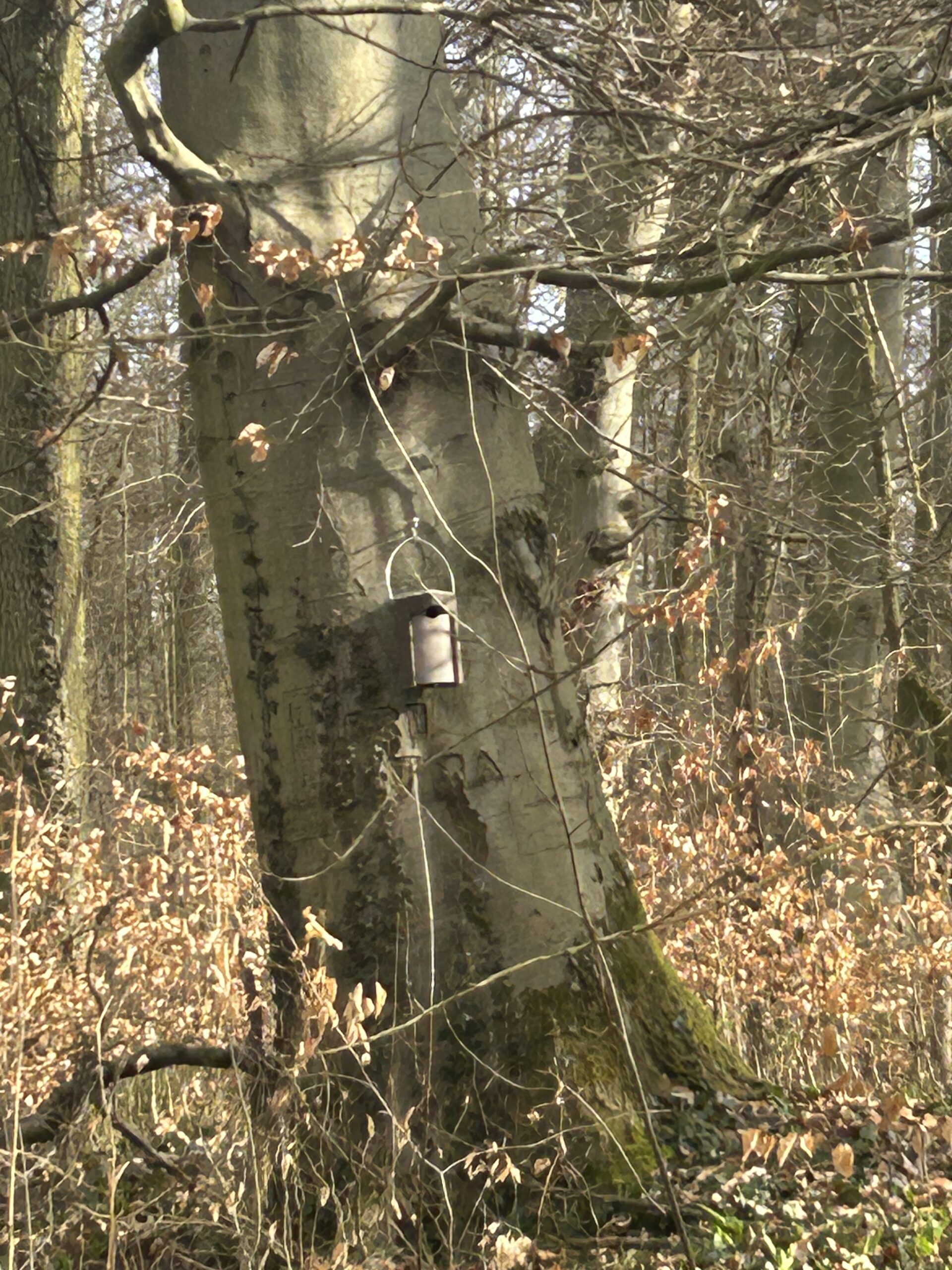 Nistkästen wurden gereinigt